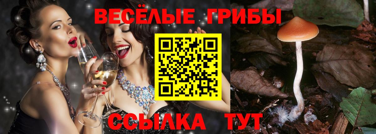Псилоцибиновые грибы прущие грибы Донской