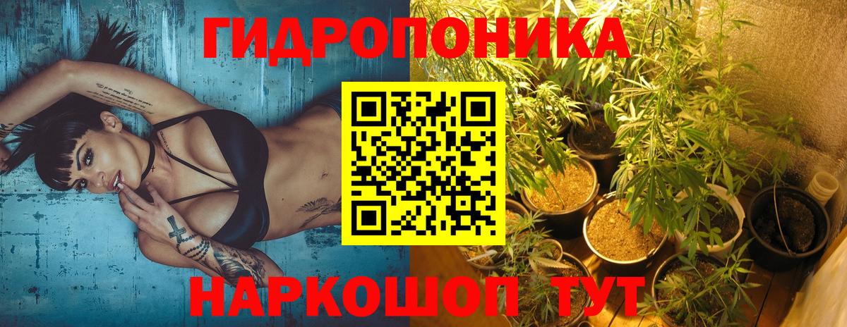 Бошки Шишки VHQ  Марихуана White Widow  Вход с VPN  Шишки марихуана индика  Марихуана SATIVA & INDICA  Донской 